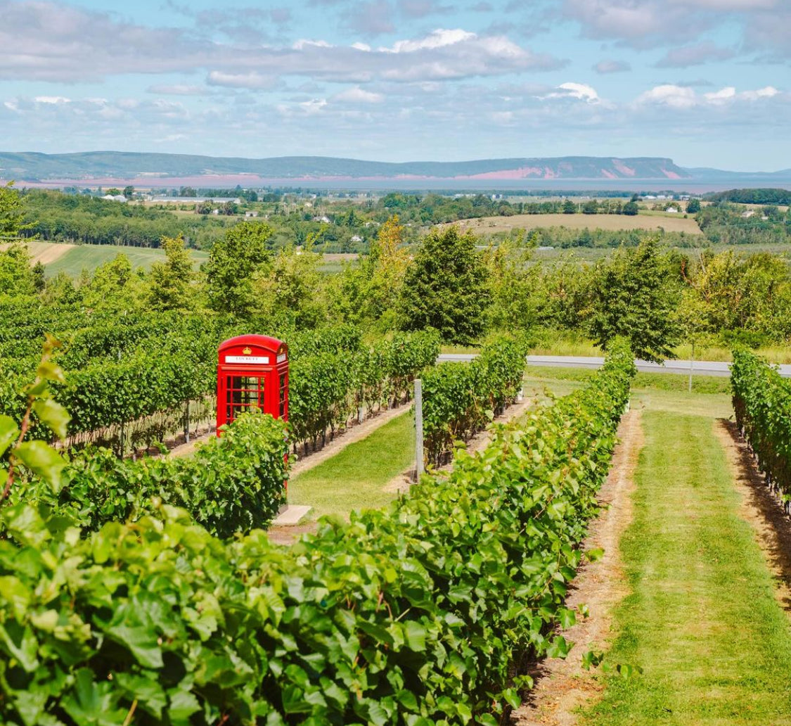 Sunday Summer DJ Sessions - JULY 6