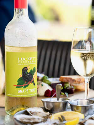 Sunday Summer DJ Sessions - JULY 6